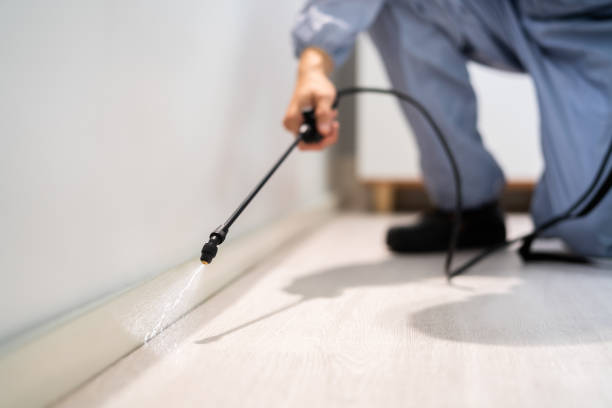 Licensed Exterminator service in Poquoson, VA - Show Me Pest Control