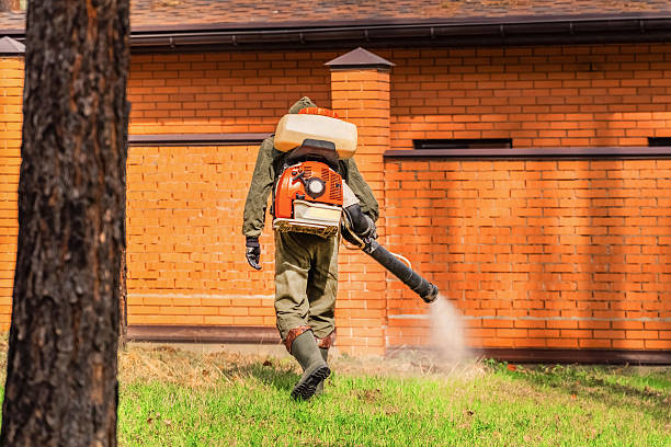 Top rated local Ant Control specialists in Poquoson, VA